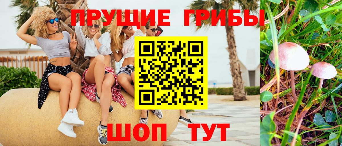 Псилоцибиновые грибы GOLDEN TEACHER  Вход с VPN  Псилоцибиновые грибы мицелий  Губаха 