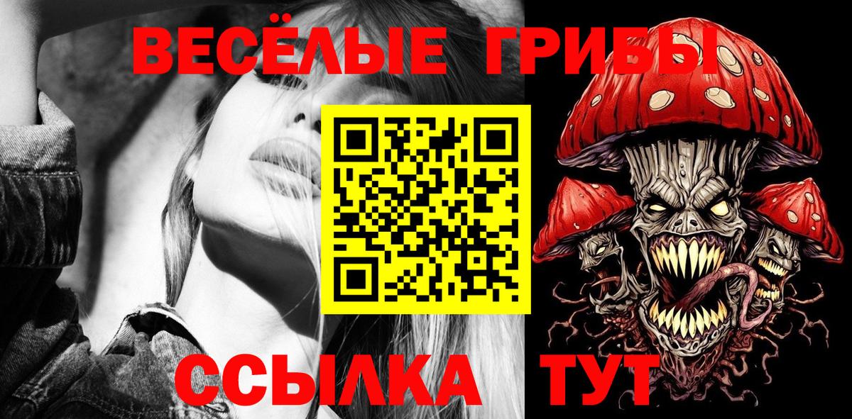 Галлюциногенные грибы мицелий Губаха